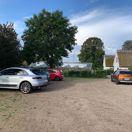 Mariegaardens Gaestehuse Hillerød Exteriér fotografie
