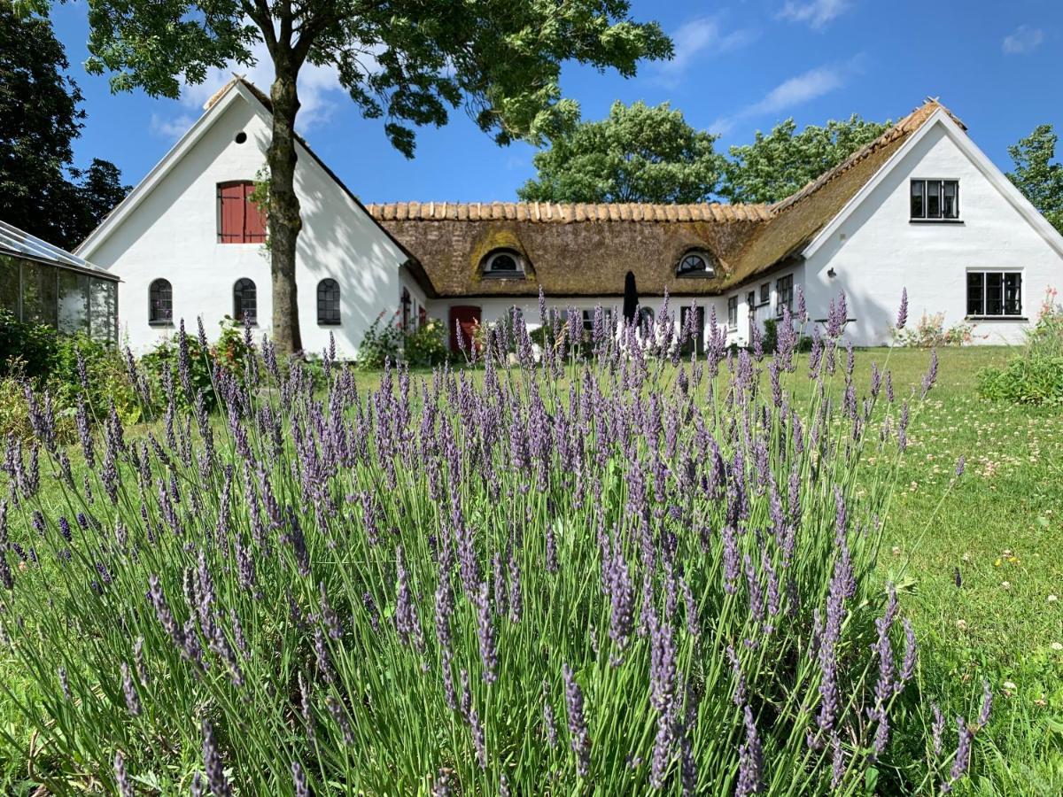 Mariegaardens Gaestehuse Hillerød Exteriér fotografie