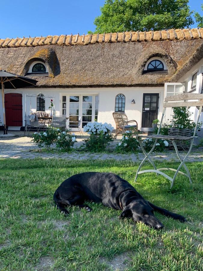Mariegaardens Gaestehuse Hillerød Exteriér fotografie
